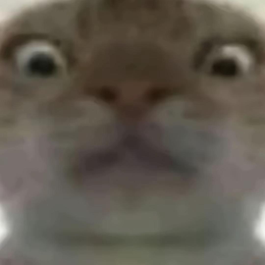 小凌三角洲电竞