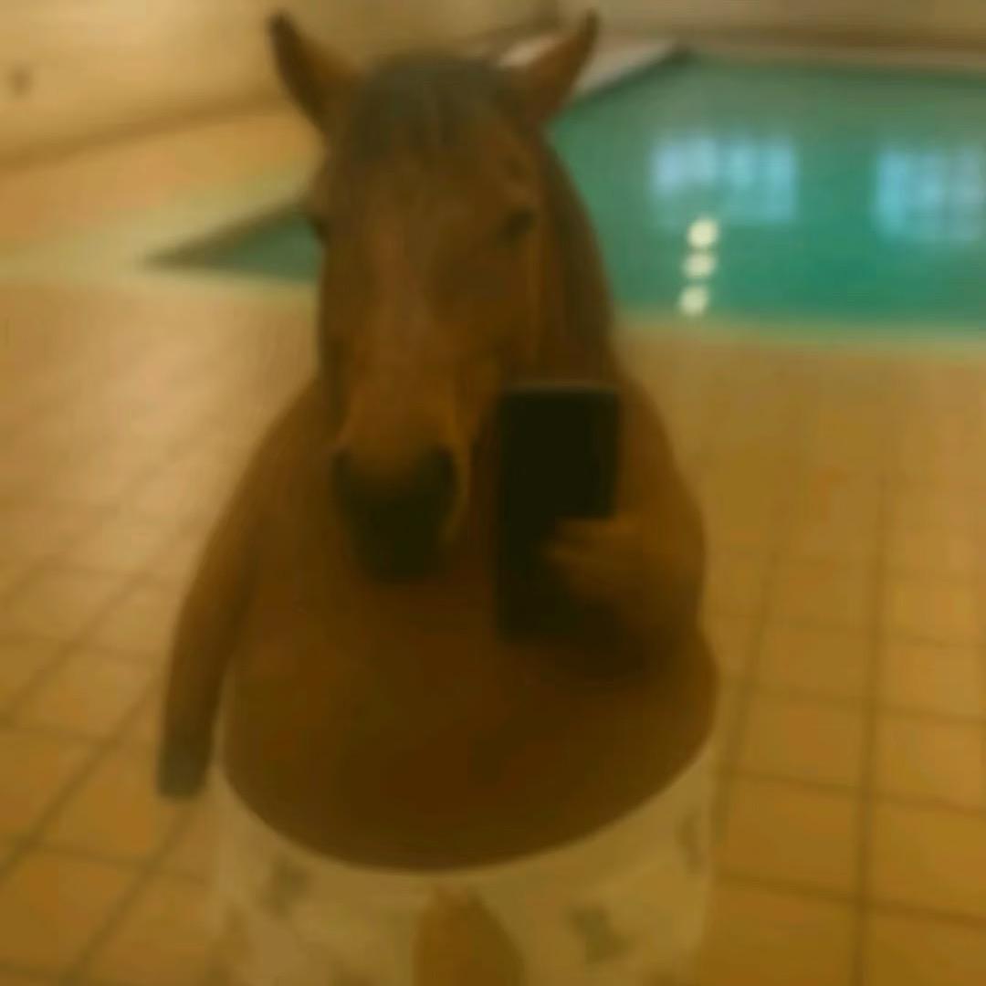 公主👸🏻不碎觉