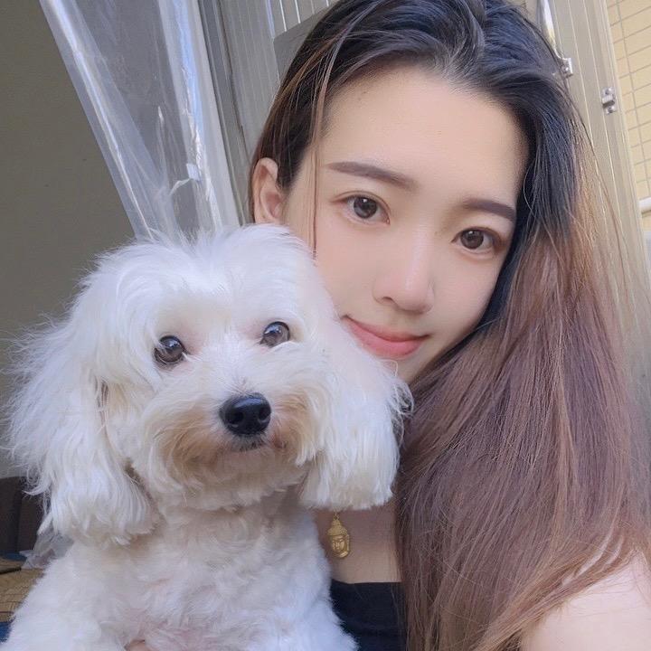 招财旺