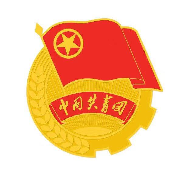 陇南共青团