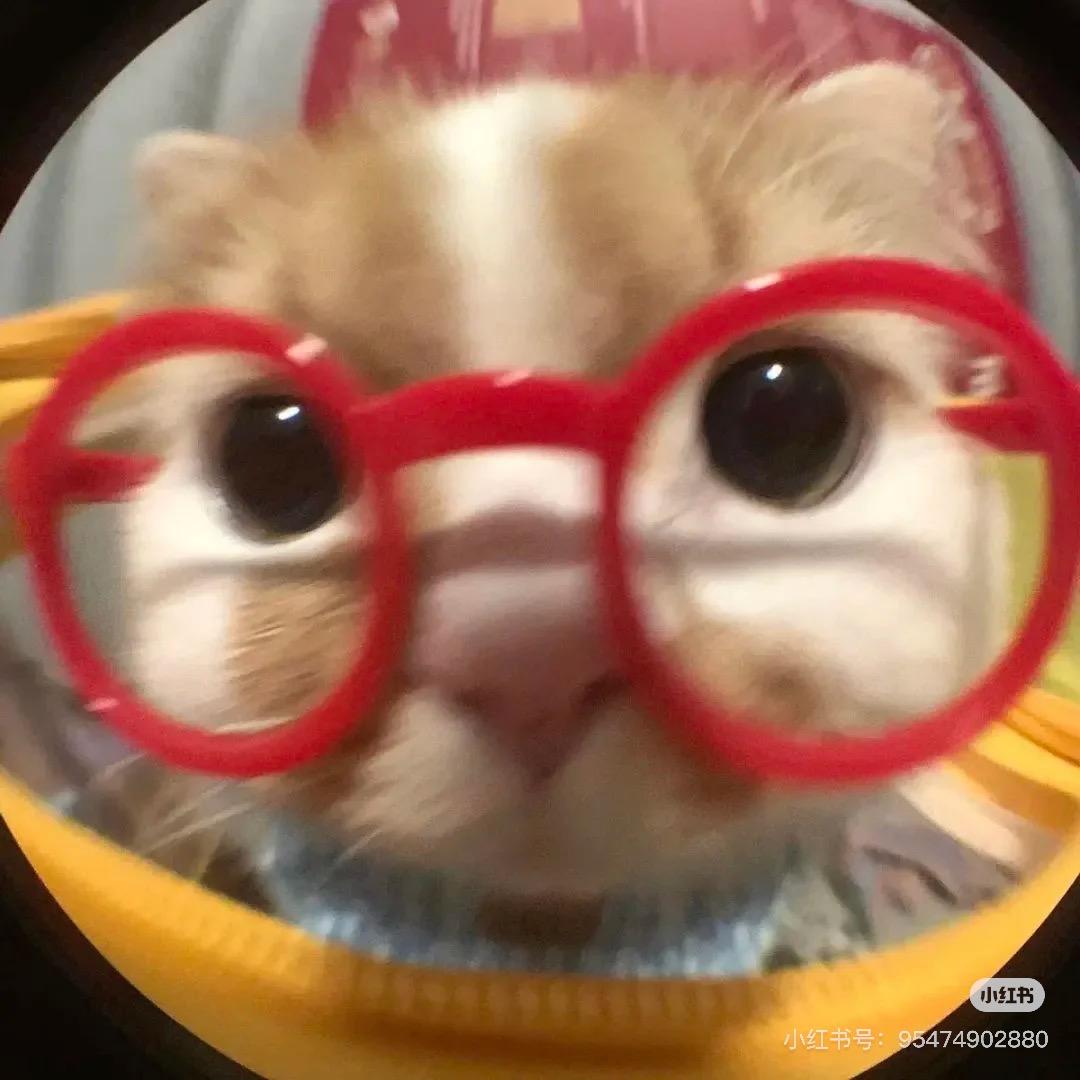 饿了就吃饭🍚🍽️