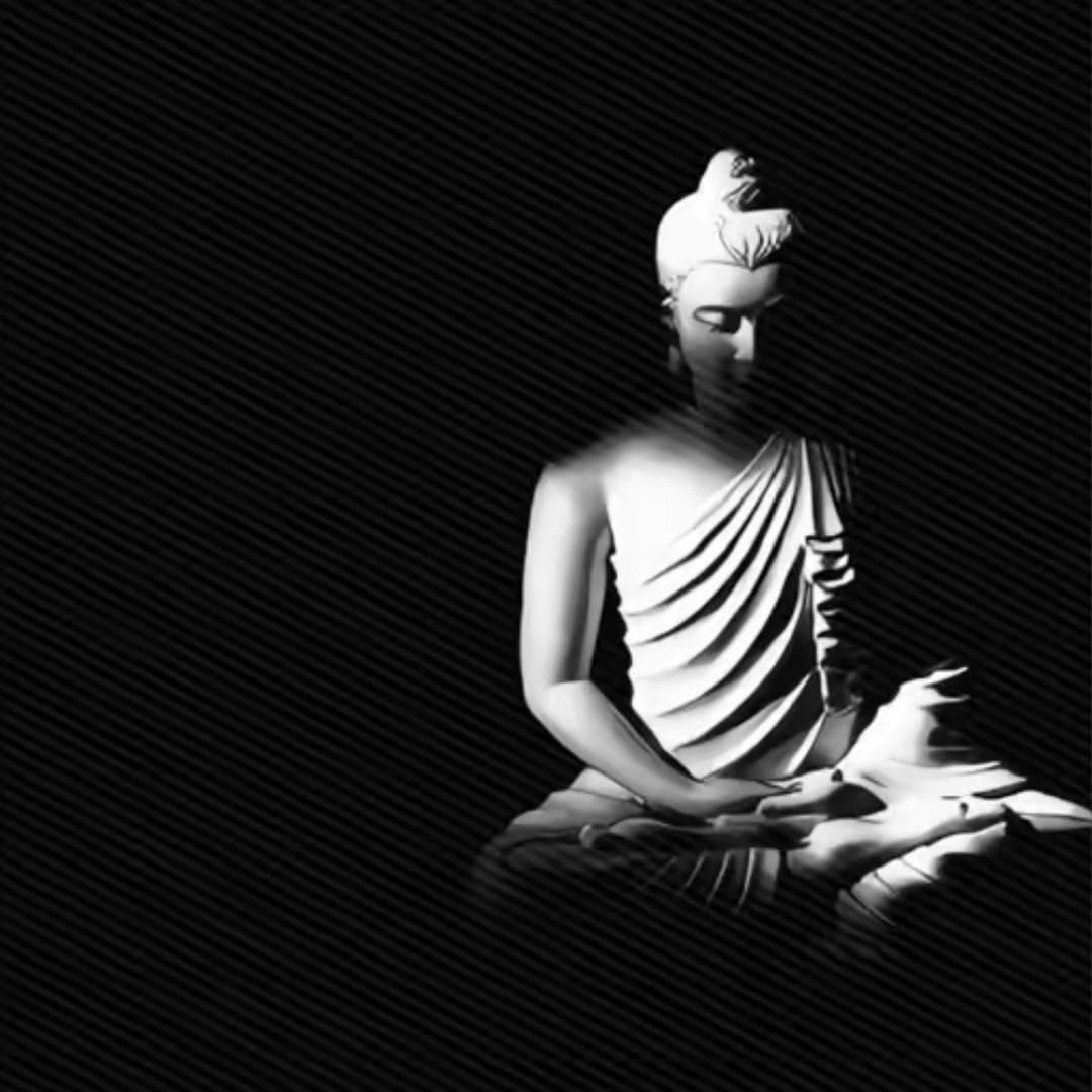 白鹏.