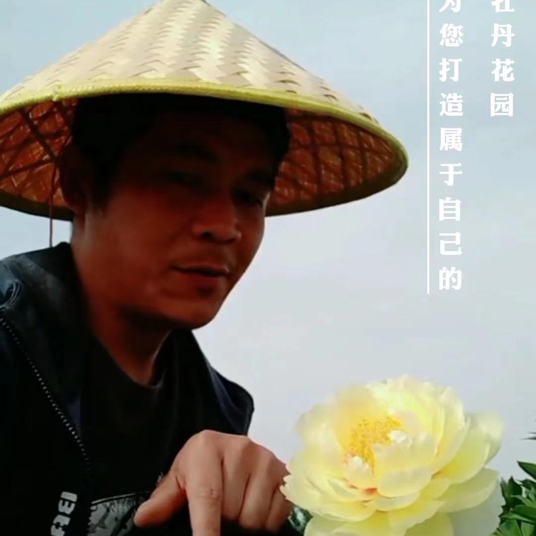 牡丹花农