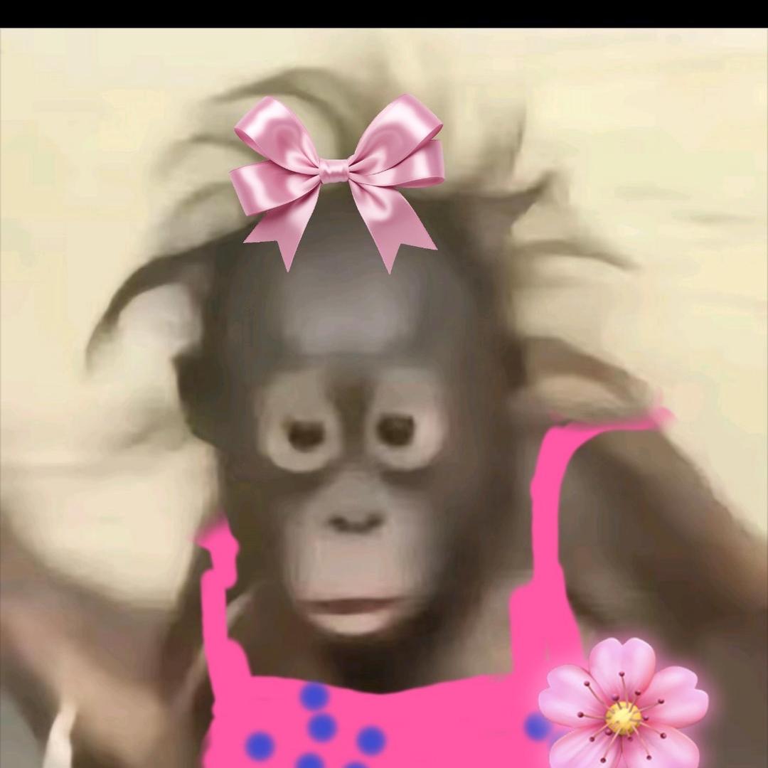 花果山在逃母猴🐒