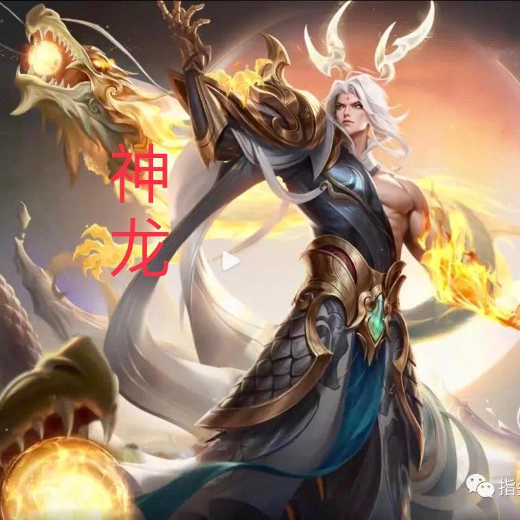 神龙（东皇边辅教学）