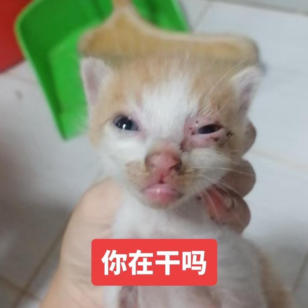 给我一根不会灭的烟