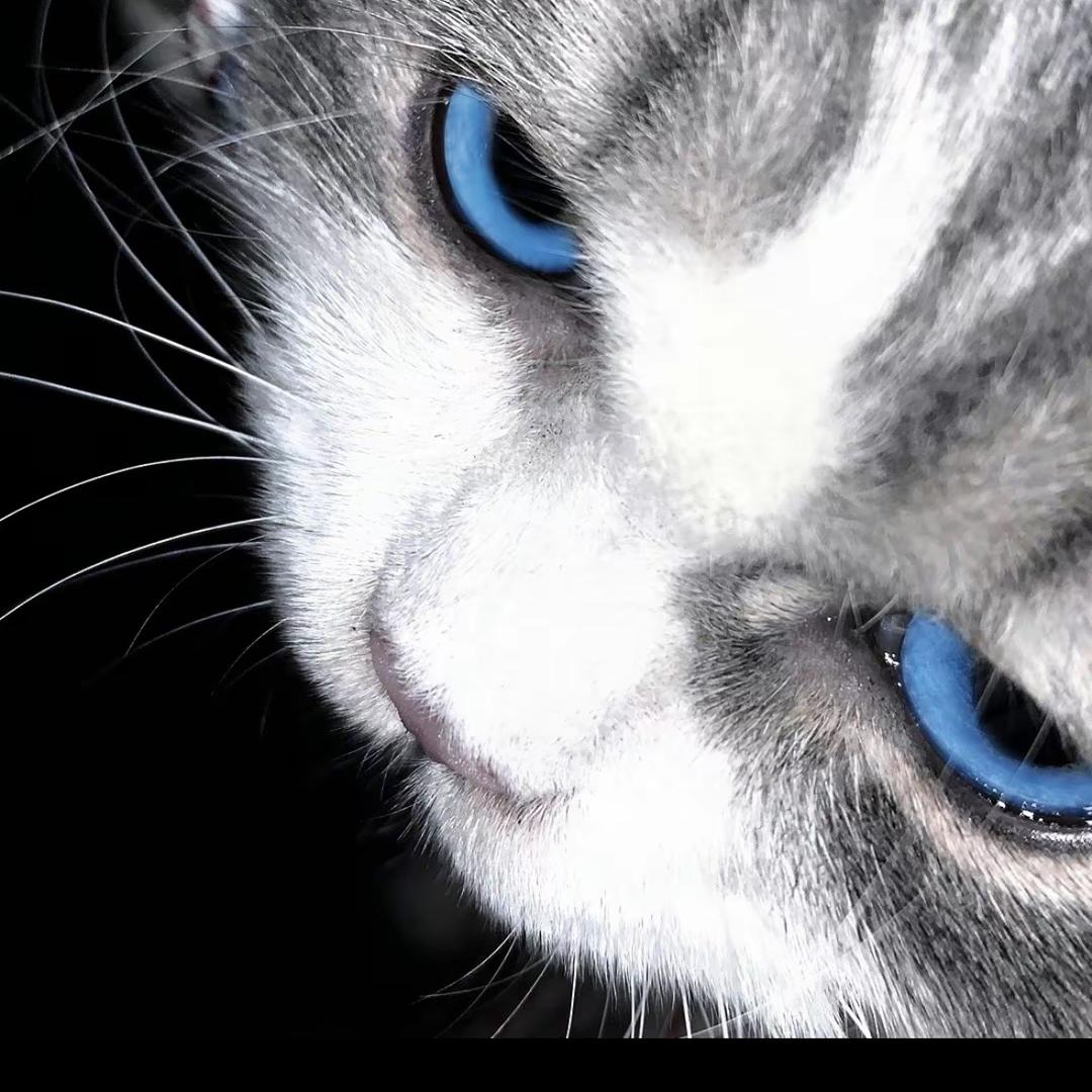 猛灌一桶花生酱