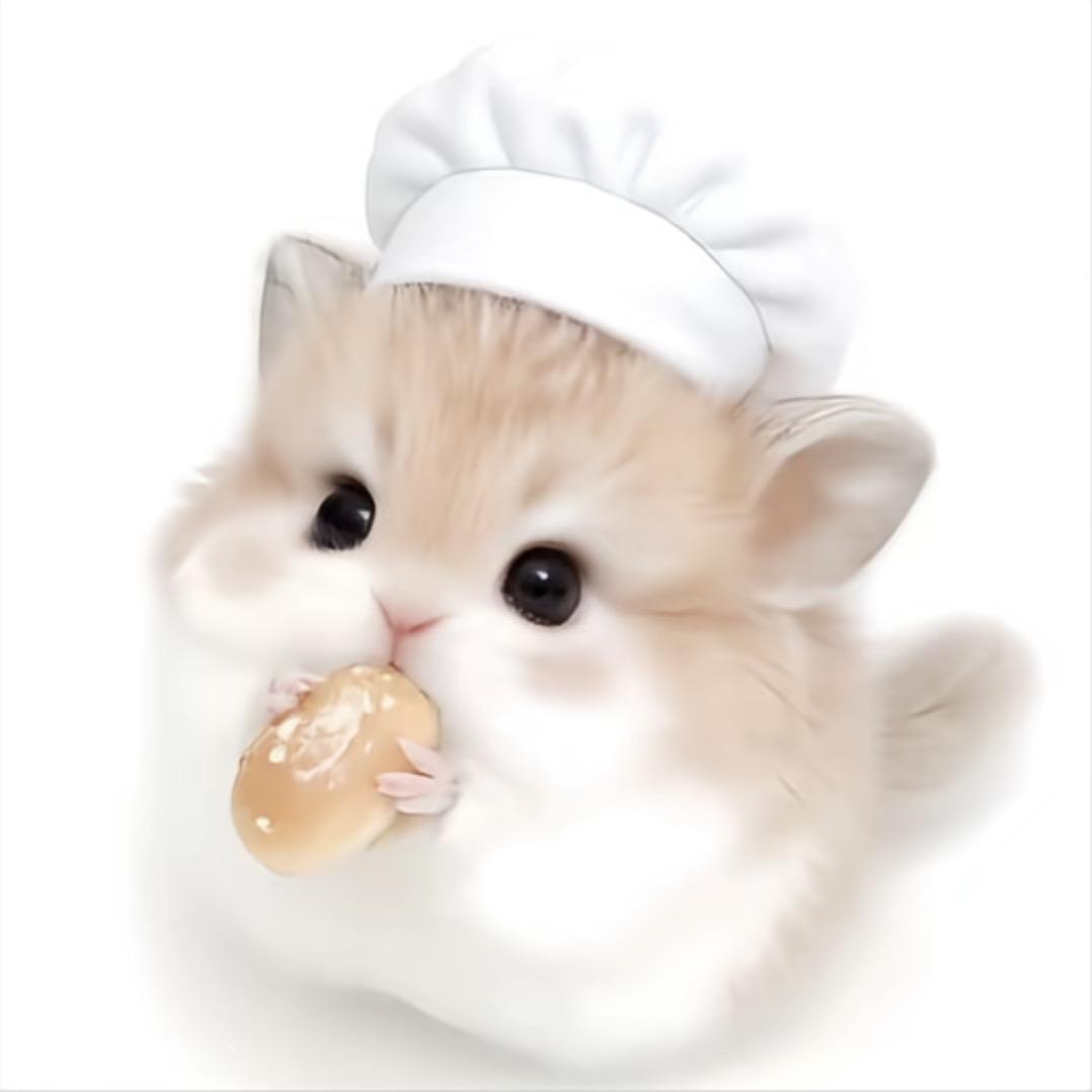 养只羊