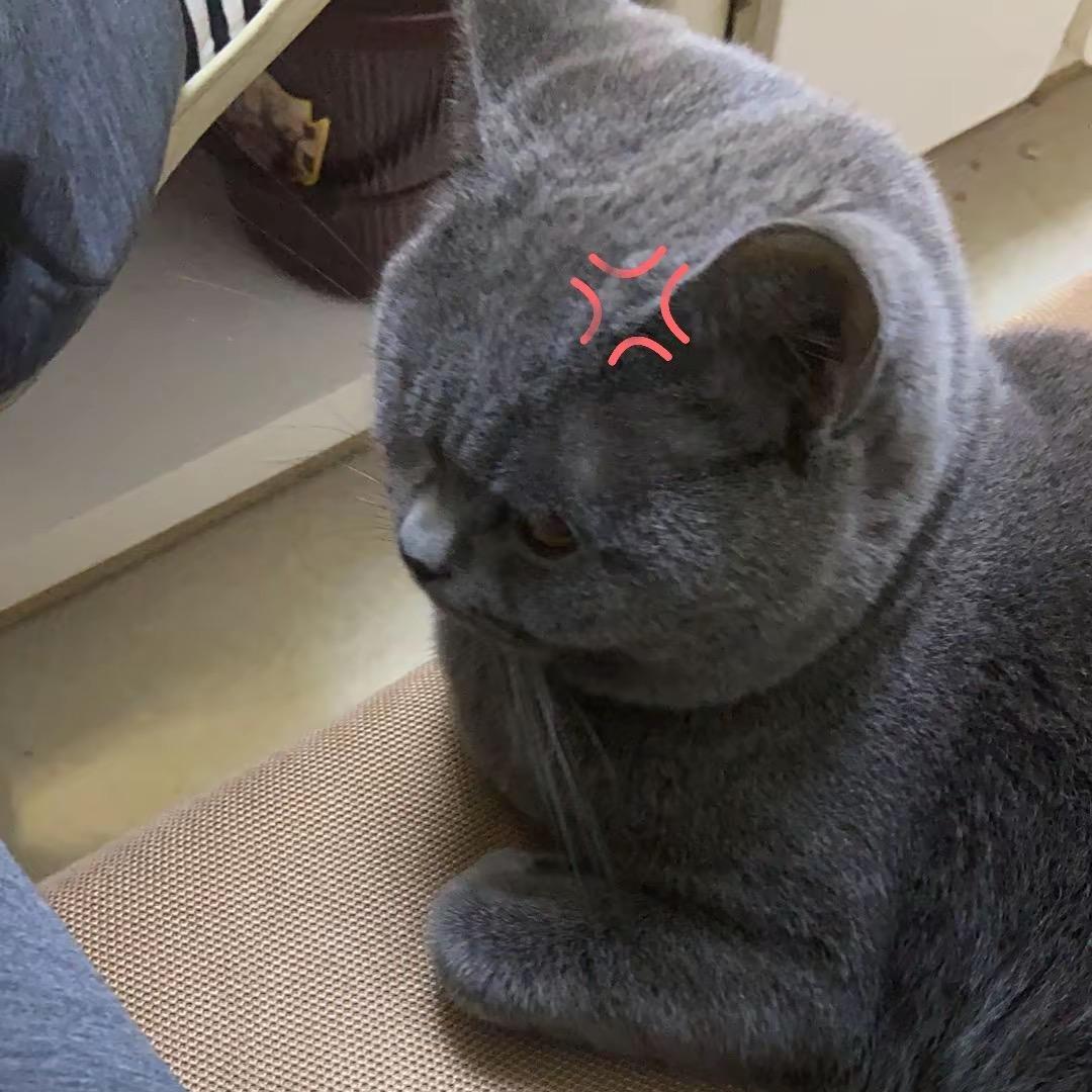 林深见鹿