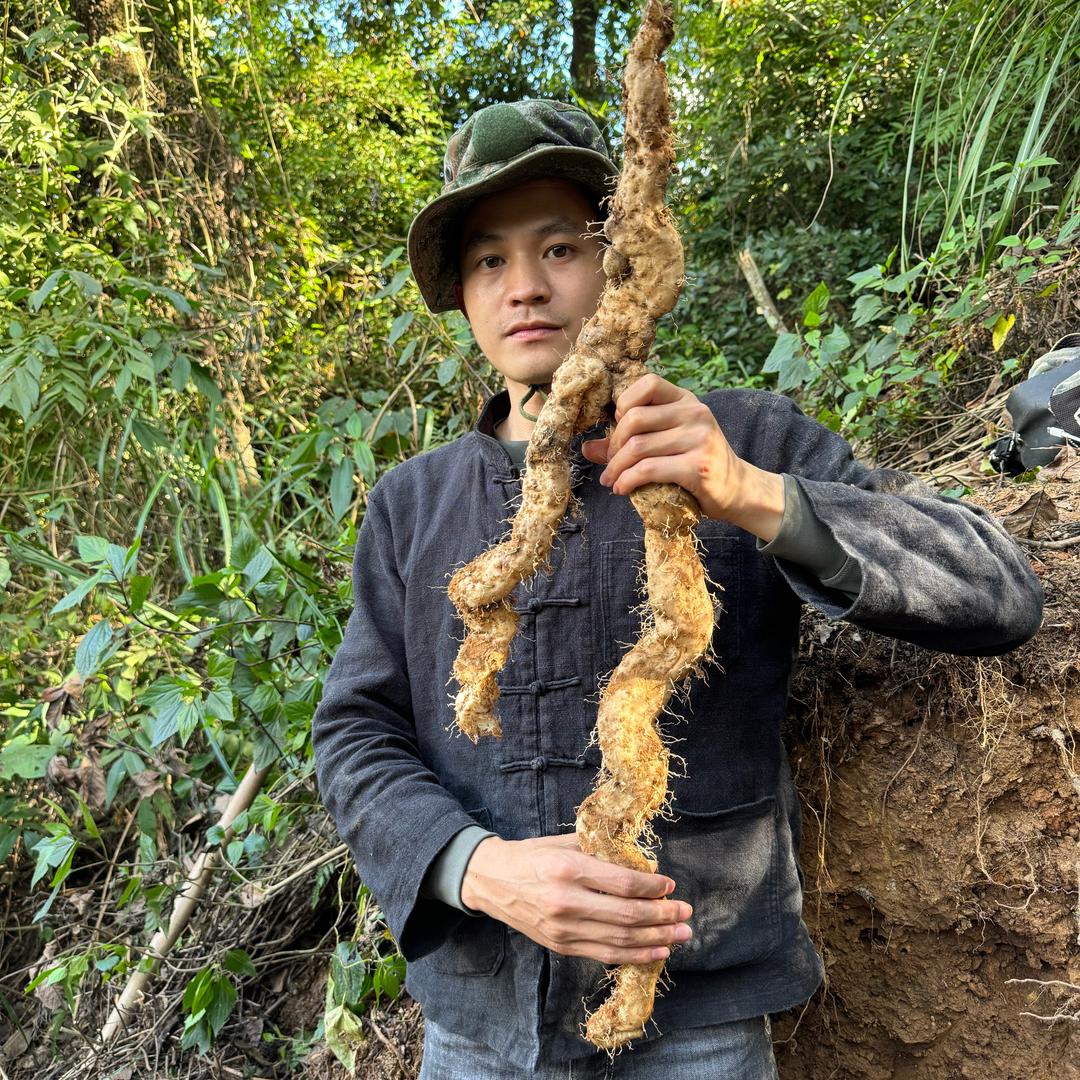 赶山人小猴