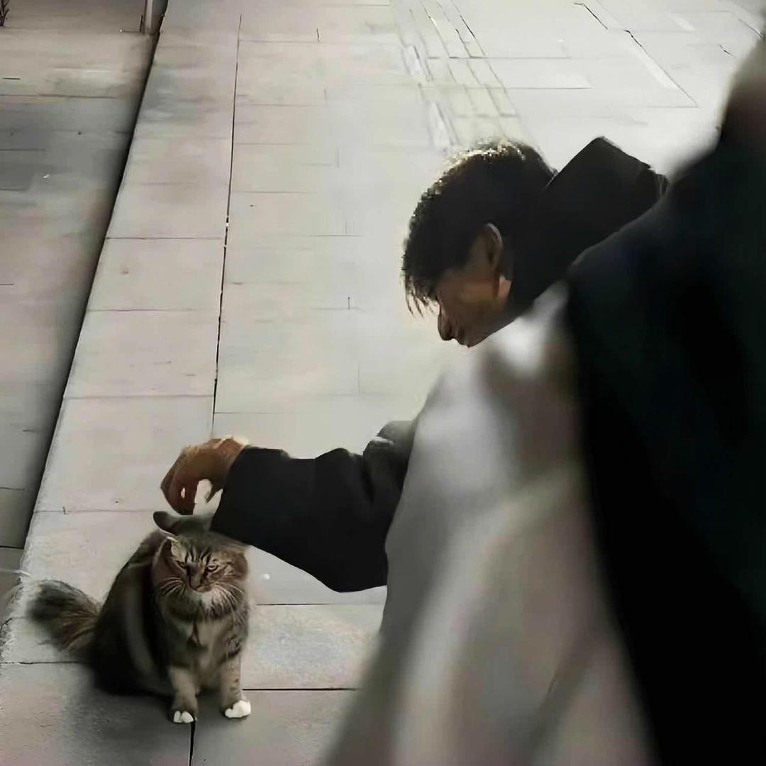 钮钴禄小转子