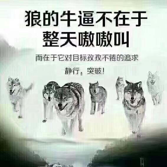 洪泽湖畔