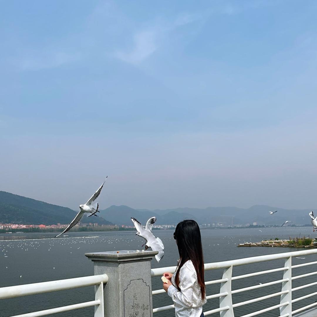 🎀金小满🎀