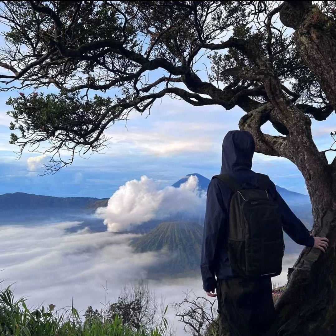 赵山河