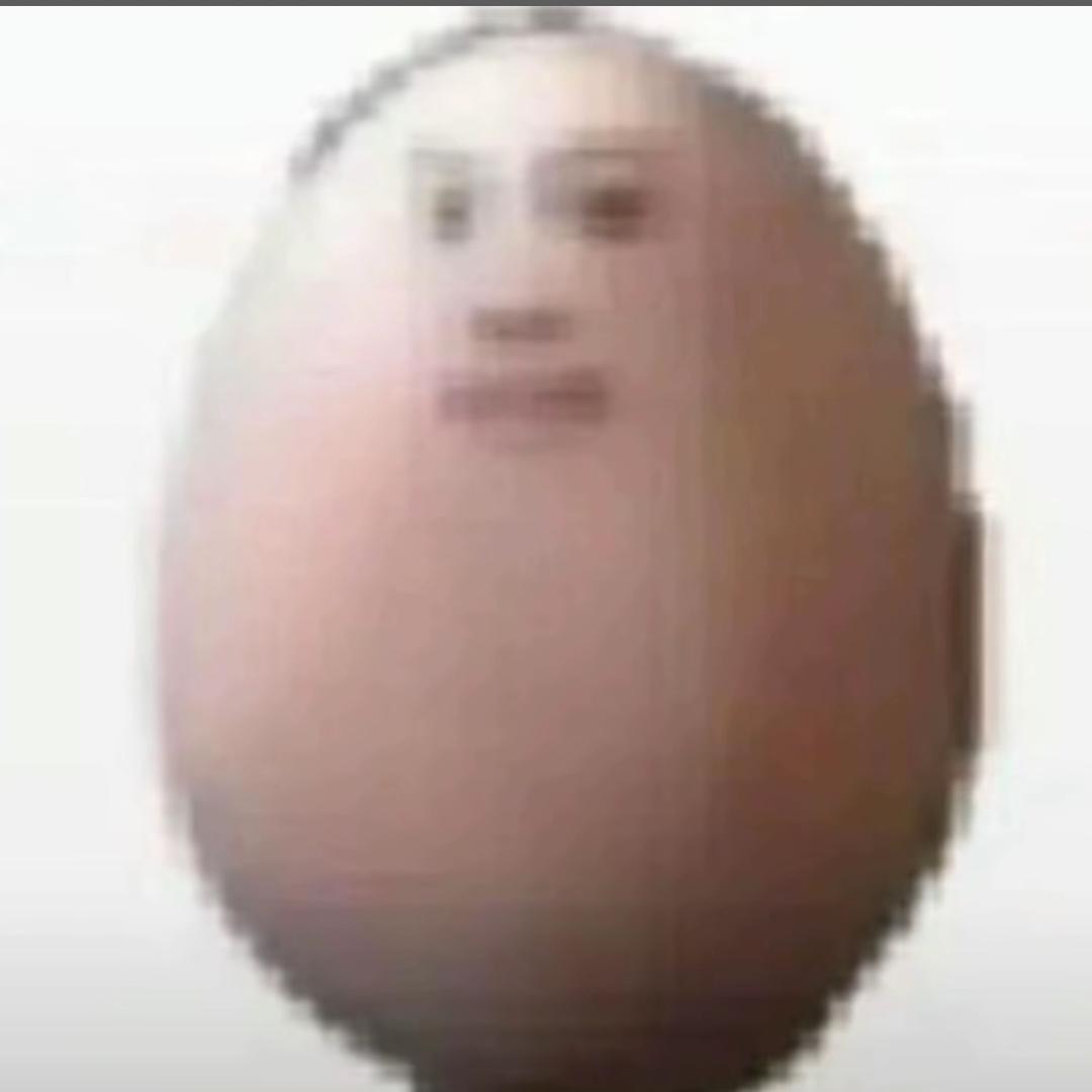 蛋