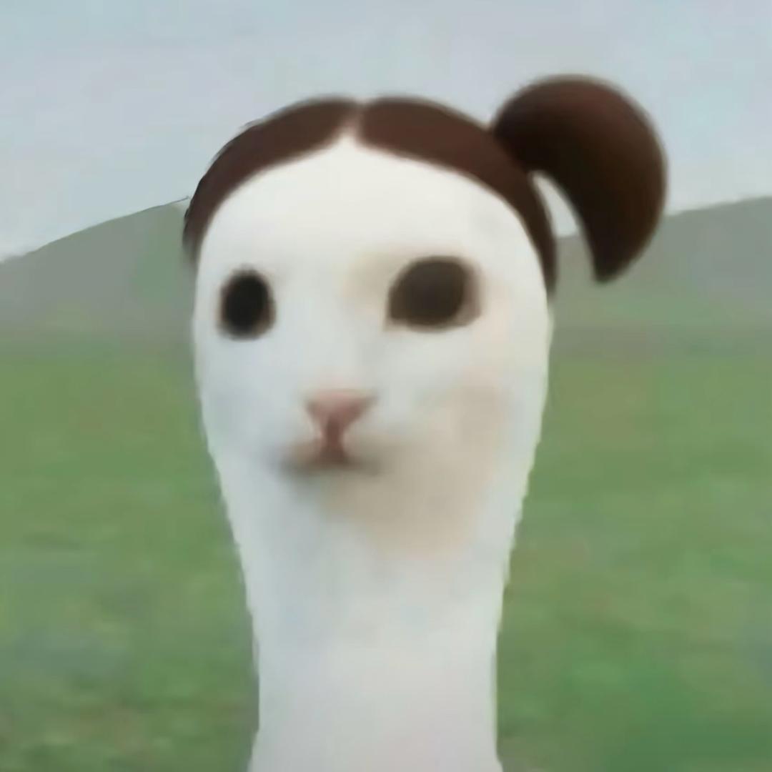 小梁滕🧸