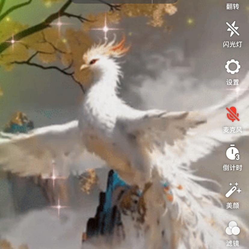 陈娟