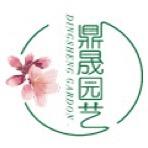 鼎晟园艺（金豆）