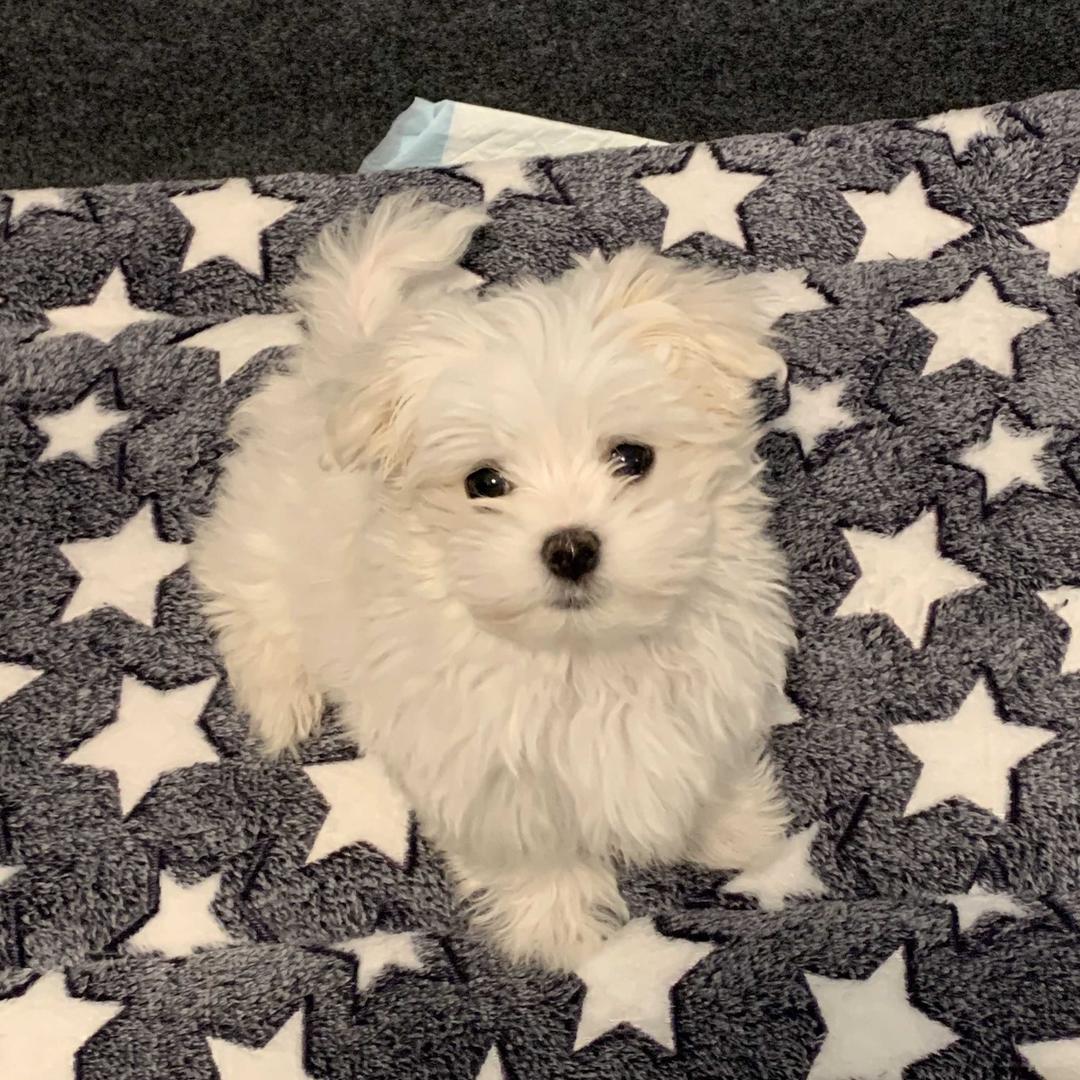 鱼隐花溪的老板娘