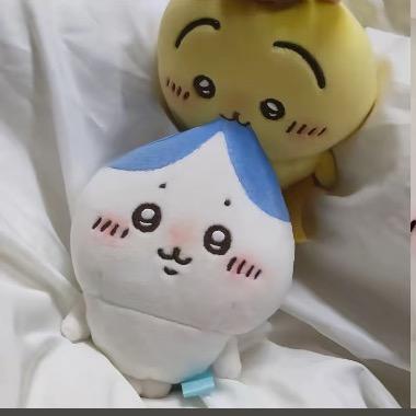 你总说我笨🐾