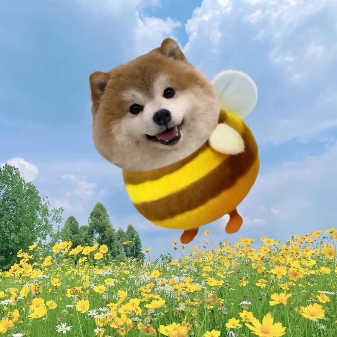 苔原也有心电图