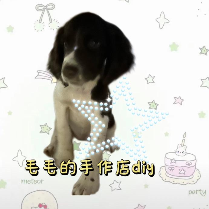 毛毛的手作店diy（拼豆接🥚版）