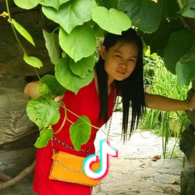 维维