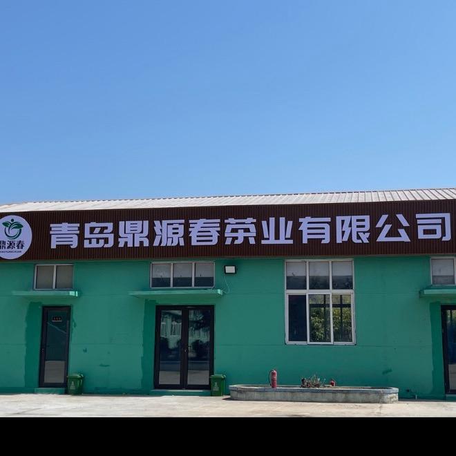 青岛鼎源春茶业茶小罗