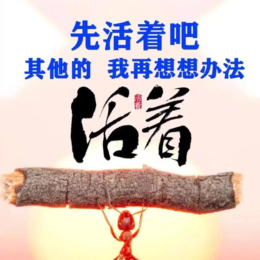 念念无为