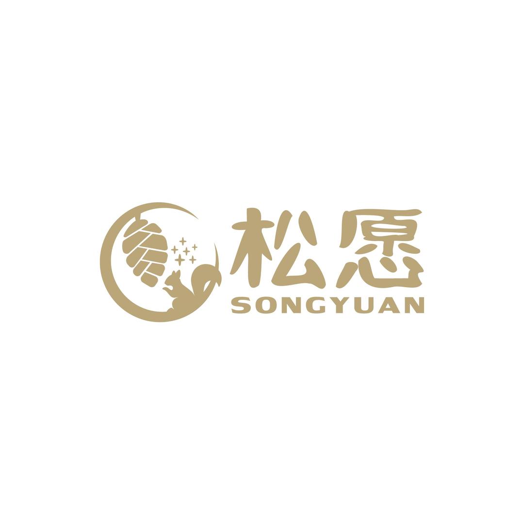 松愿甄选坚果
