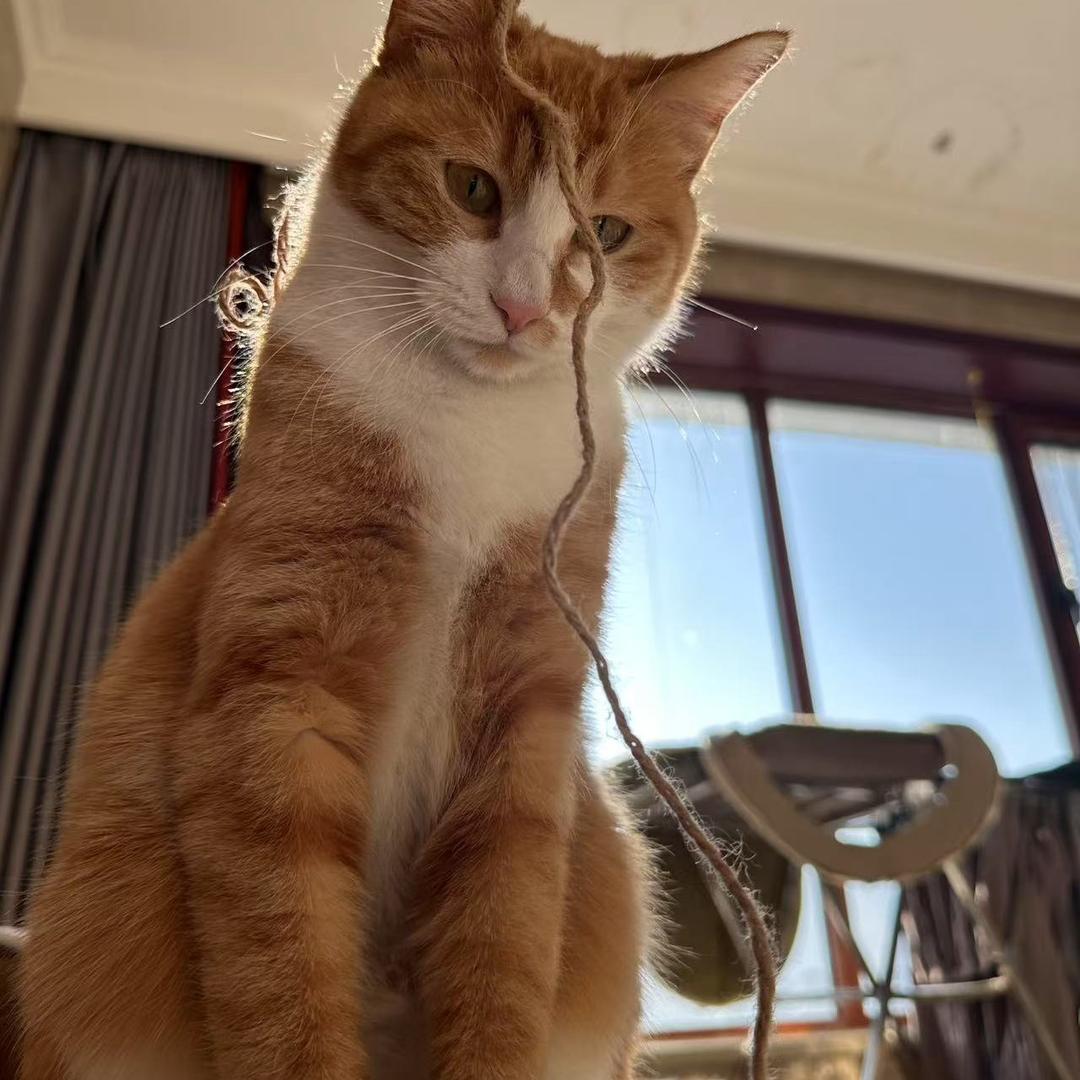 J·A_东区乄弘🎣