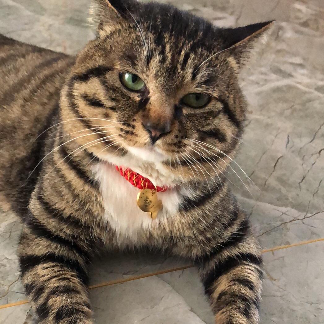 润晶缘(猫叔)小号