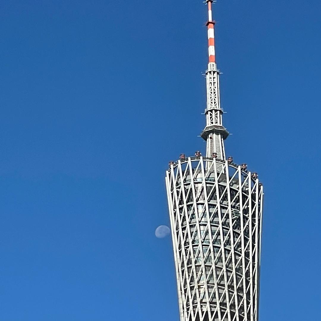 老家前屯的陈冉冉头像