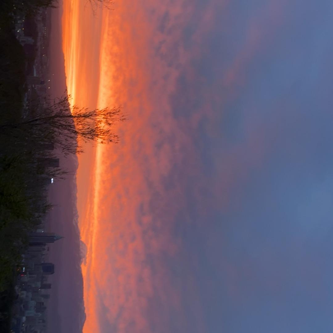 阿卜白货好物《新疆包邮》  🕶🥽👜