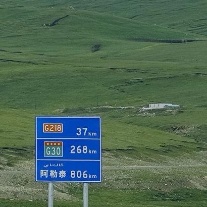 瑶呆