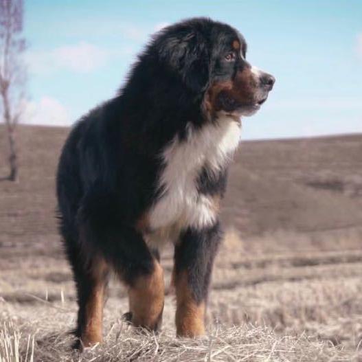 路客尼亚伯恩山乐园