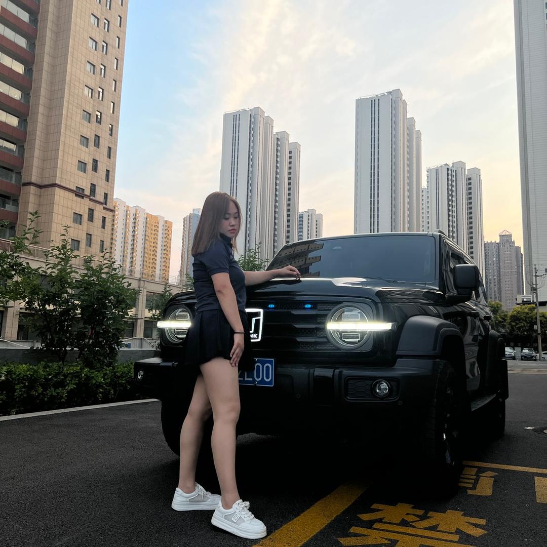 一颗梅子的坦克300