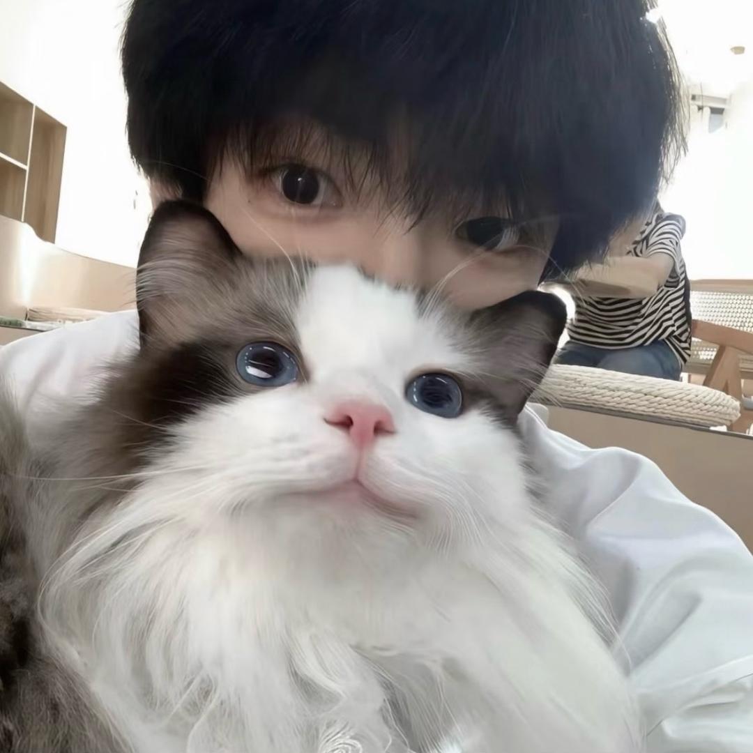 老婆为了女同把我抛弃的那个夜晚我成了男同