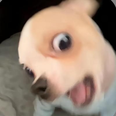 任 俊 语