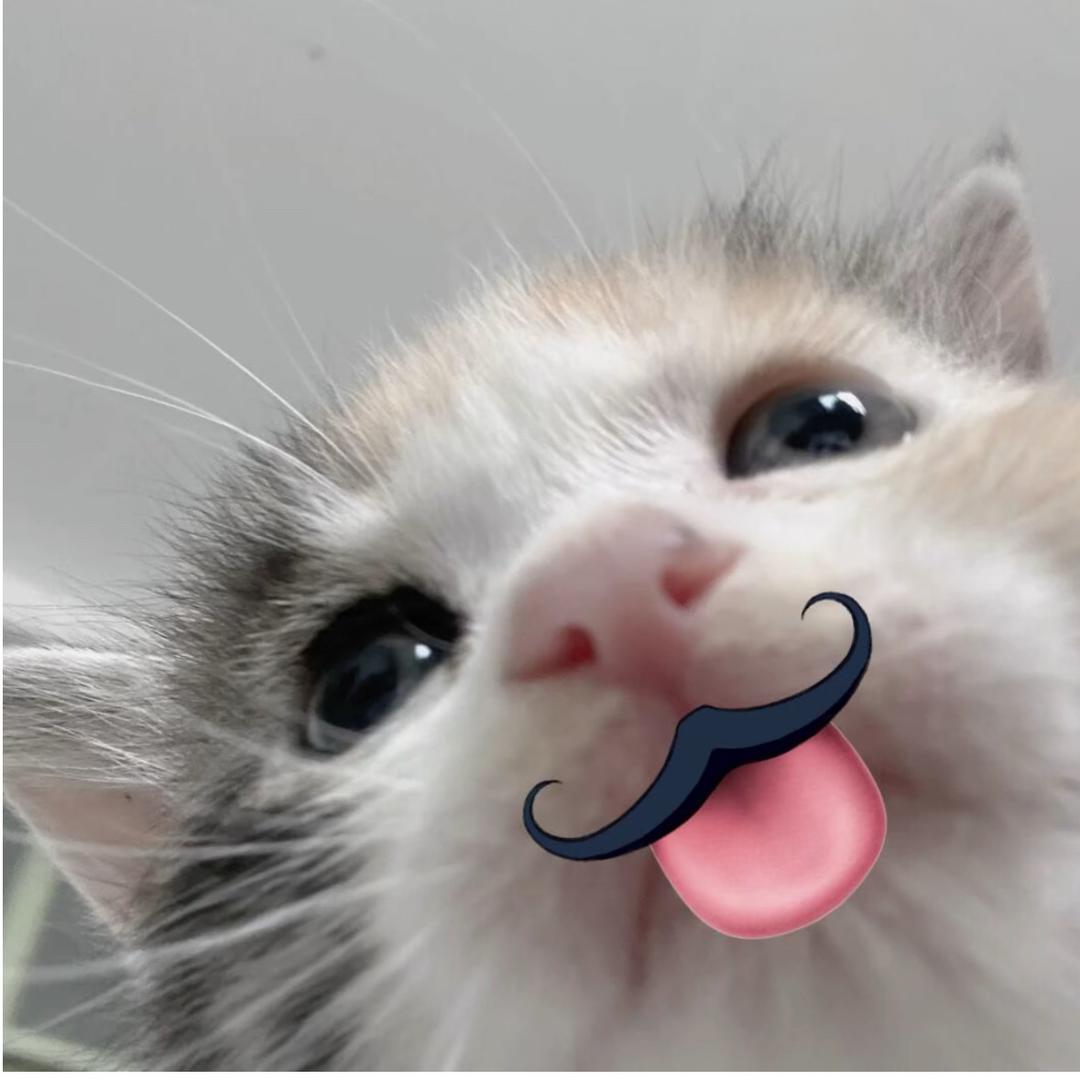 owo