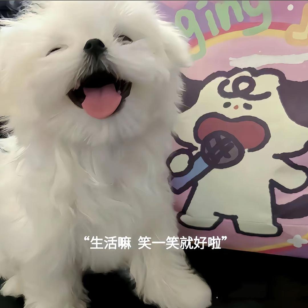 艾，