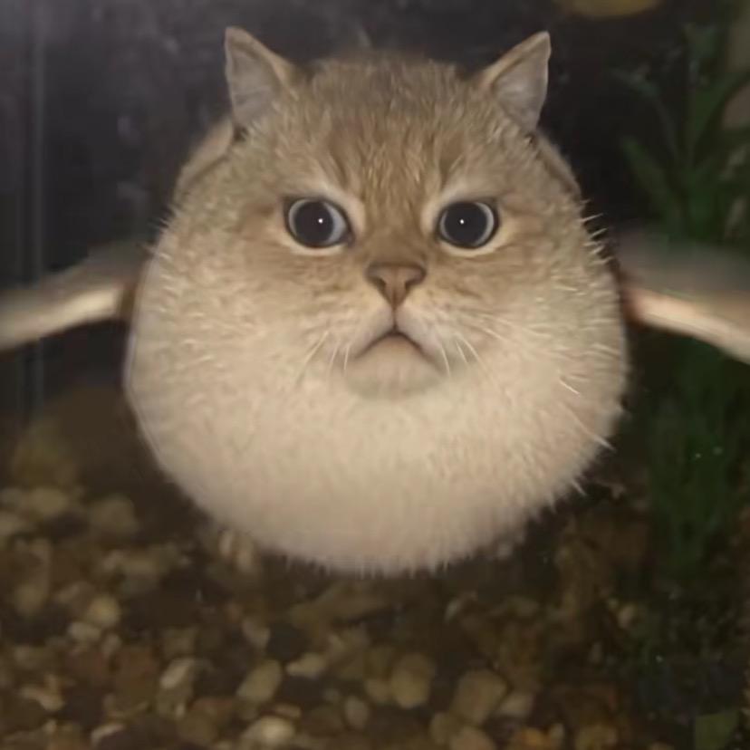 清水河