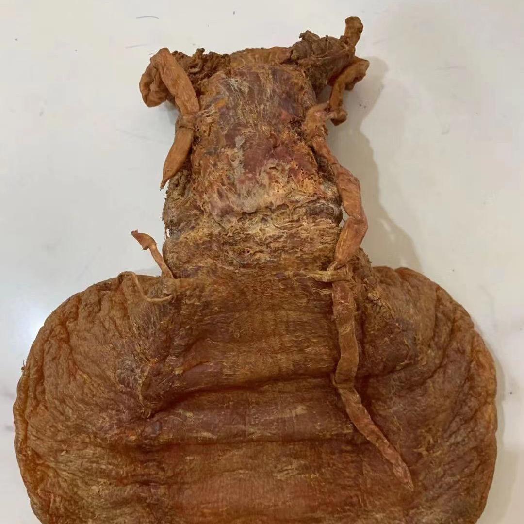广之隆滋补品商行