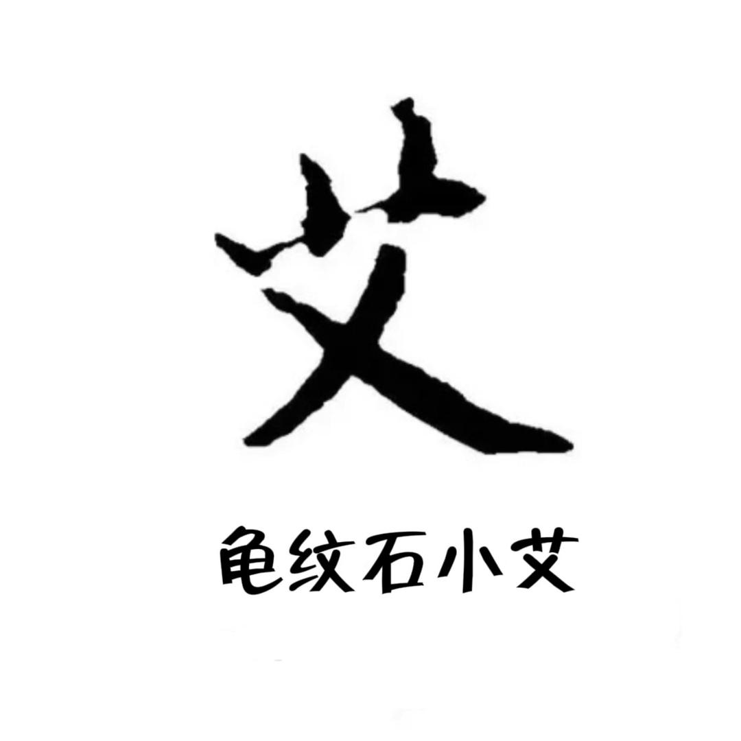 小艾龟纹石(龟纹石产地一手货源)
