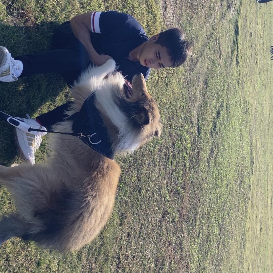 獨 坐（🧘🏻）⛰️巅