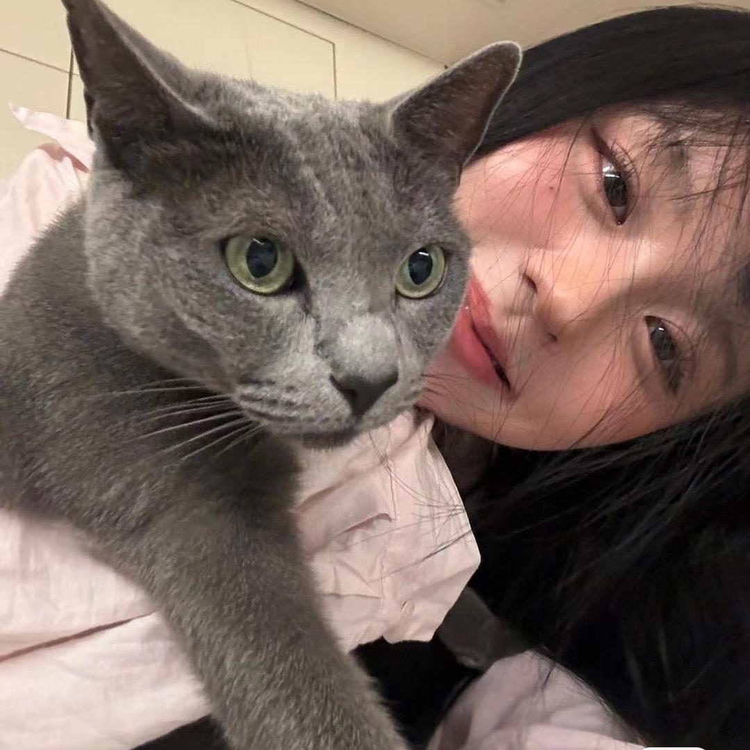 叽里呱啦一大堆