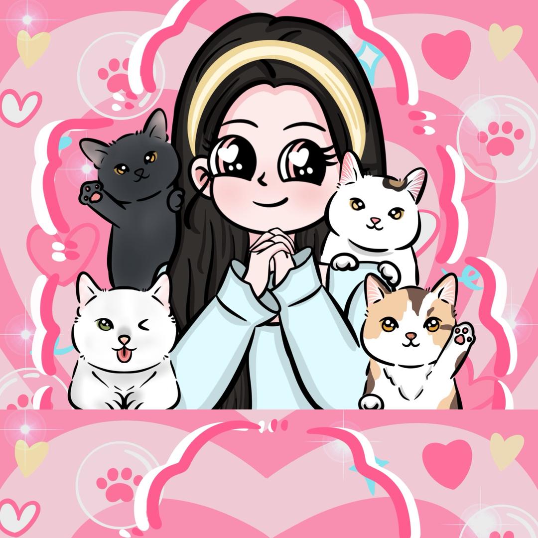 小杰也养猫啦🐾（亲测版）