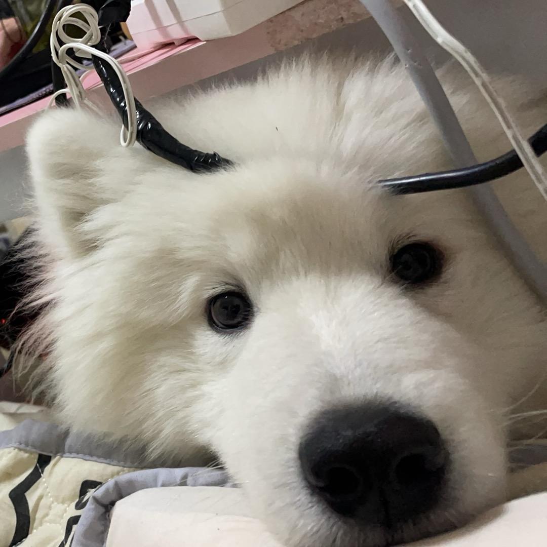 吃不饱
