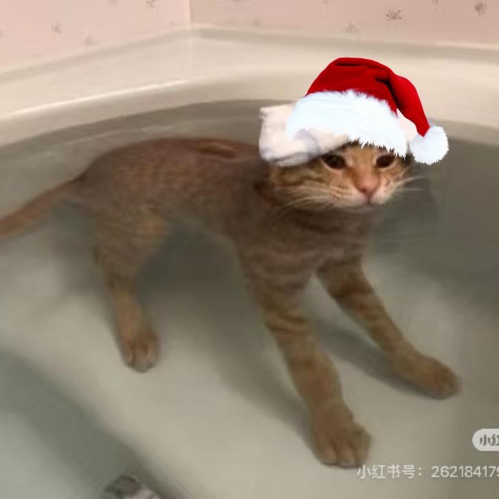 芍药居舞蚁（恋爱脑版）