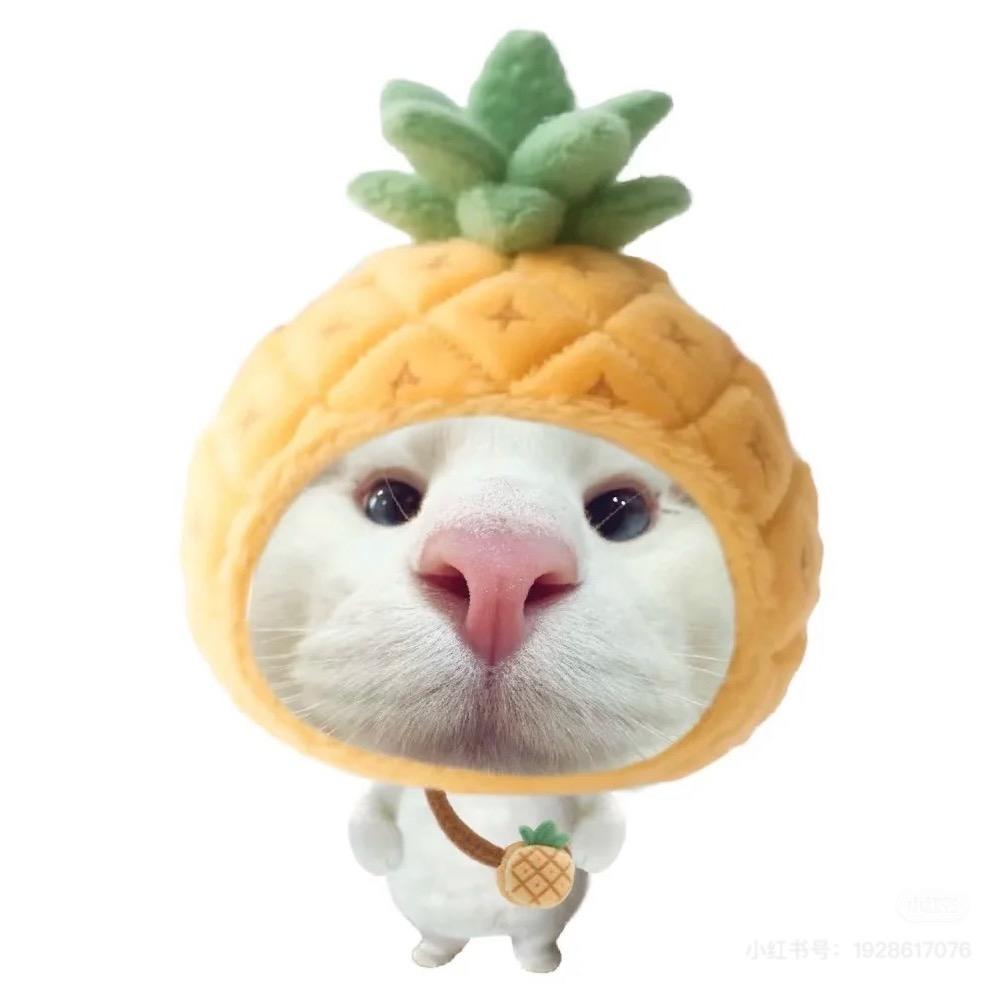 干脆面-